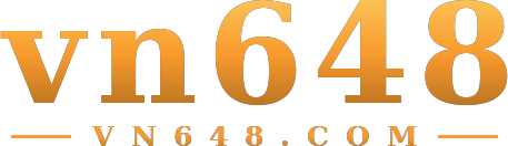 vn648 logo